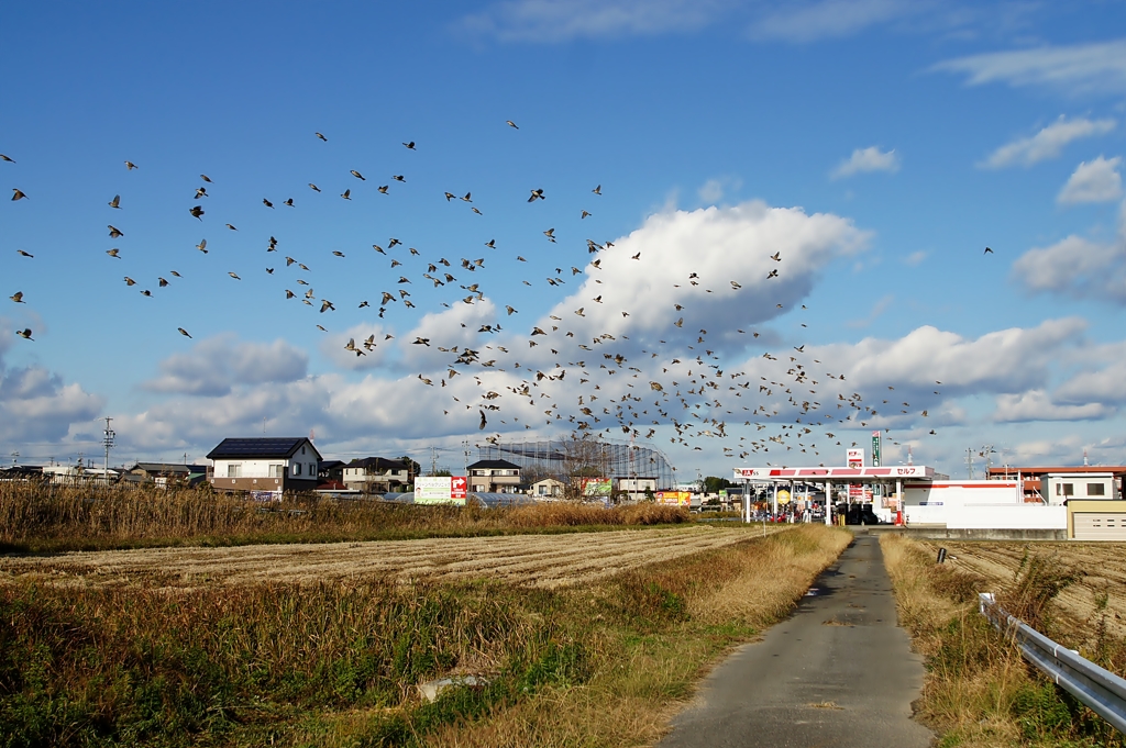 空に川？