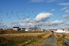 空に川？