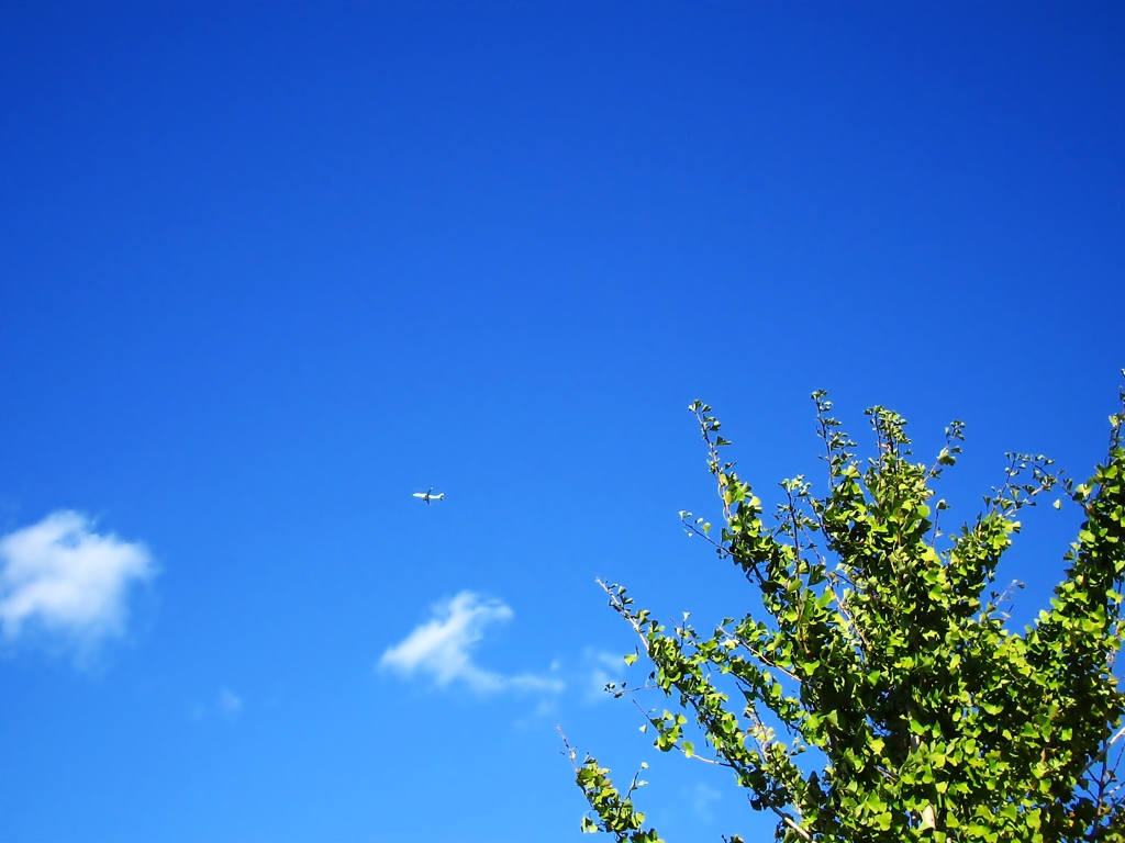 青空