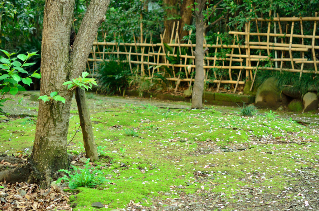 八幡神社