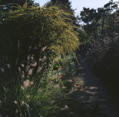 Autumn path      fig.1