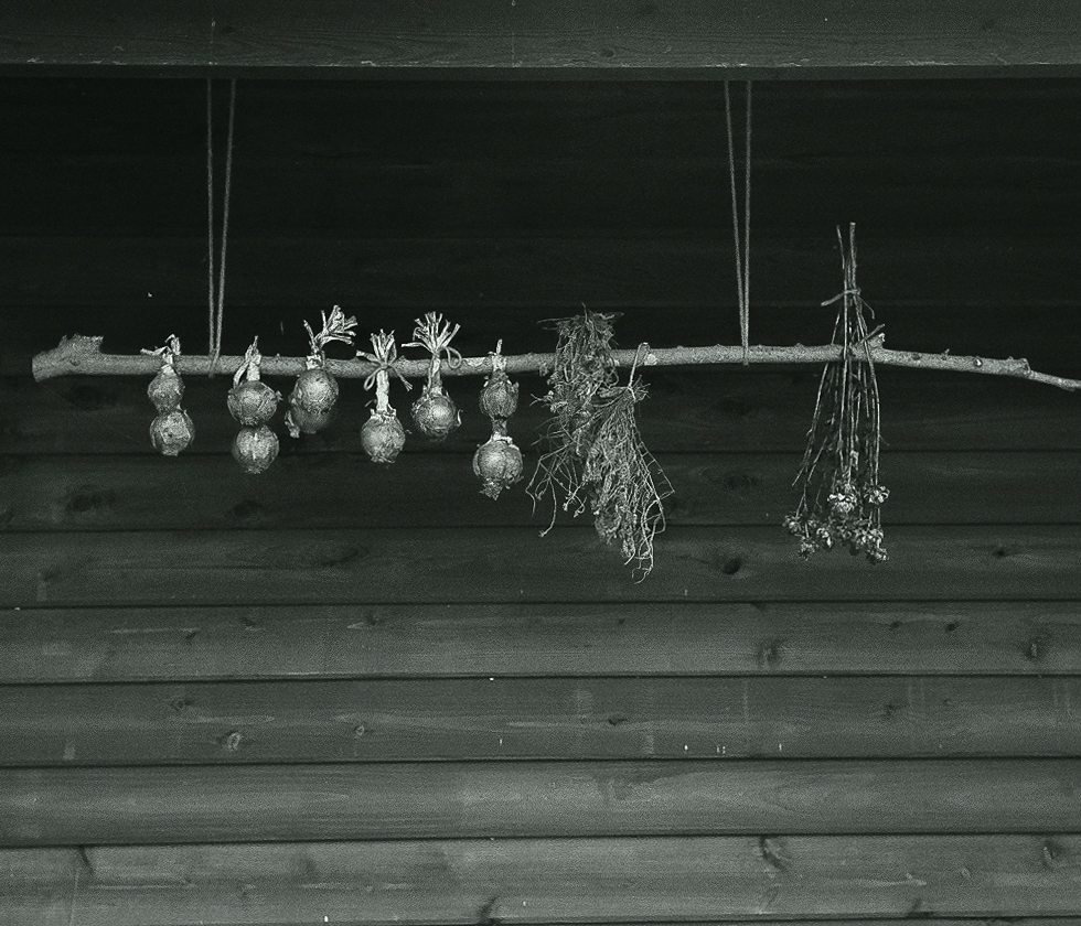 Rollei35S + SILVERMAX 100 fig.5