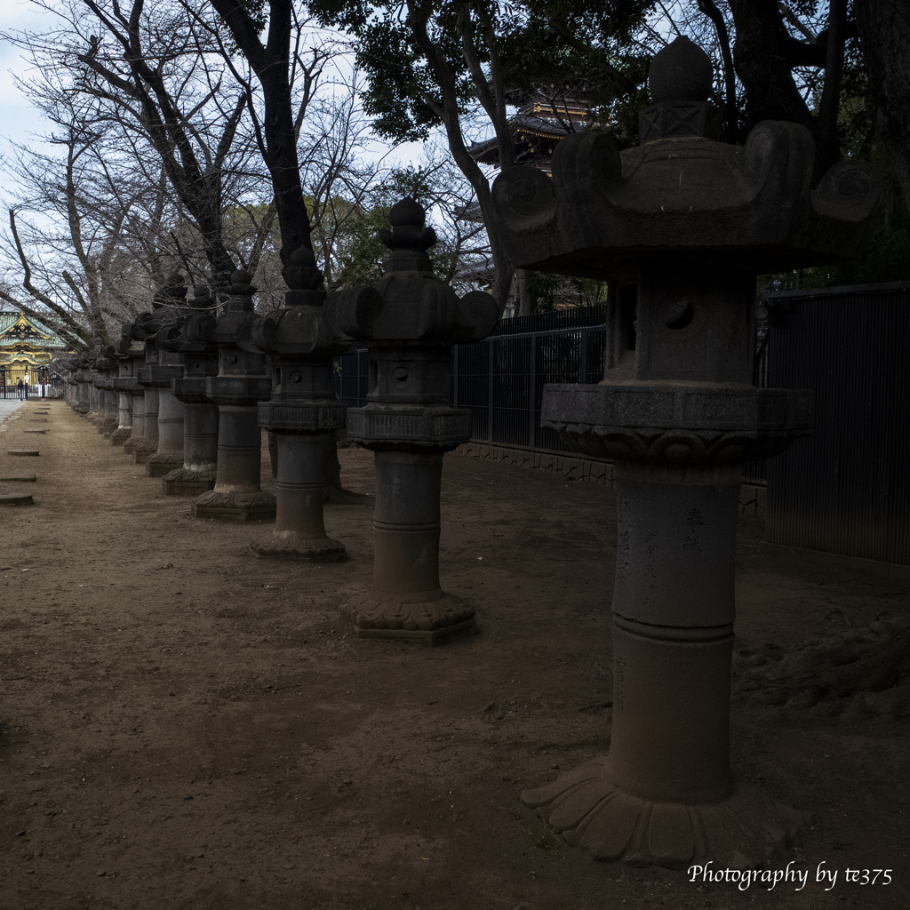 上野東照宮 #3