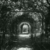 Rollei 35S +BERGGER BRF400 PLUS  fig3