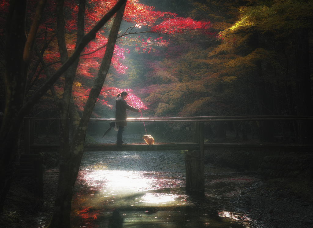 紅葉風景 #8