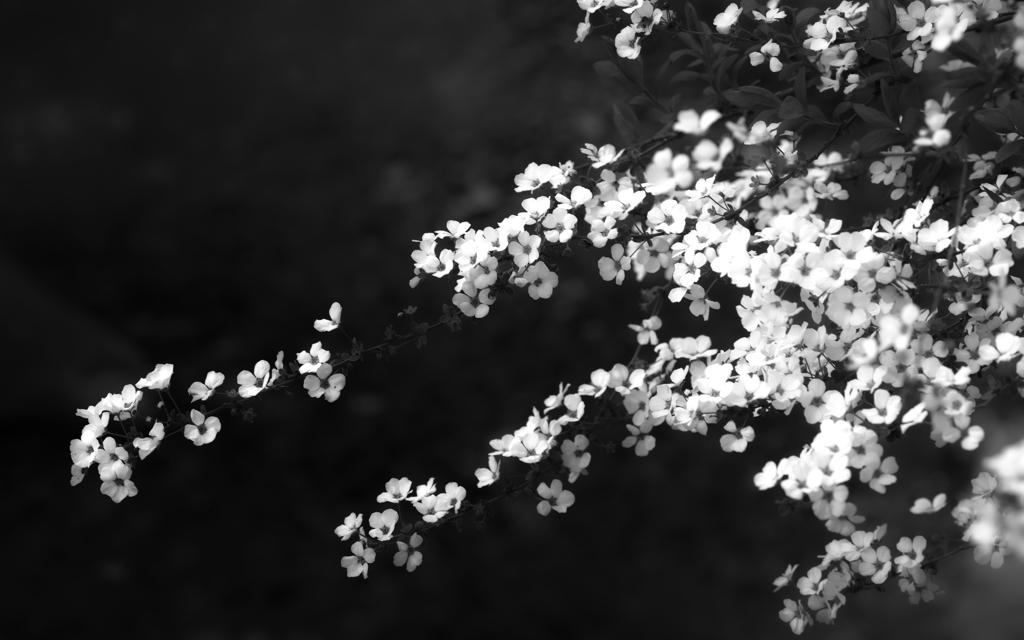 at the park 2015.3.15 fig.7
