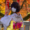 着物日和 #8