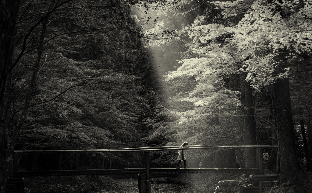 紅葉風景 #2