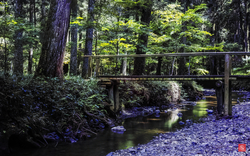 Forest of Mori　#6