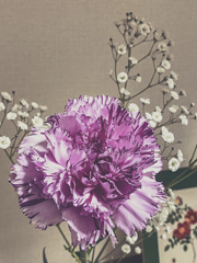 The name of the flower