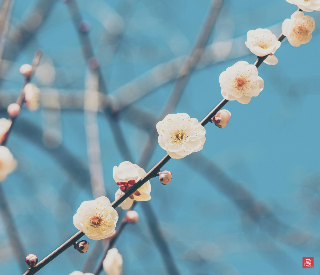 いつもの公園 feb  #1