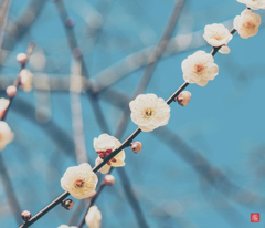 いつもの公園 feb  #1