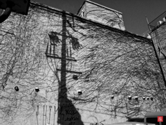 At a street corner　#3