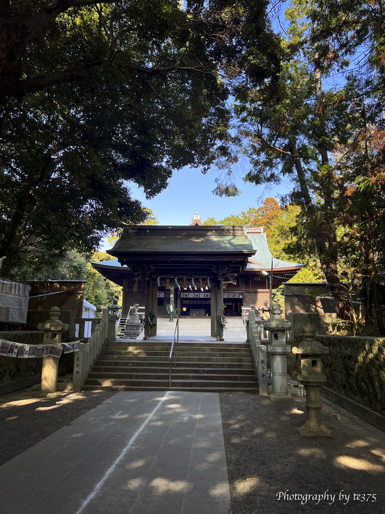 diary 2023.1.9 #2