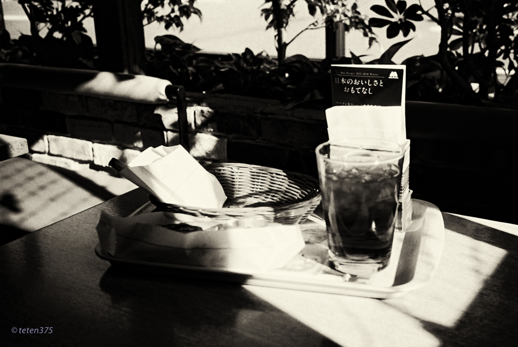 T2 + AGFA APX100 fig.9