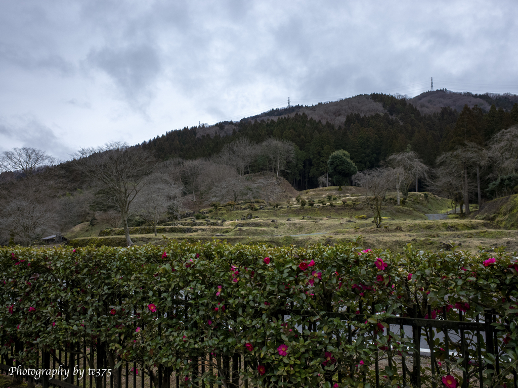 diary 2024.2.23 #2