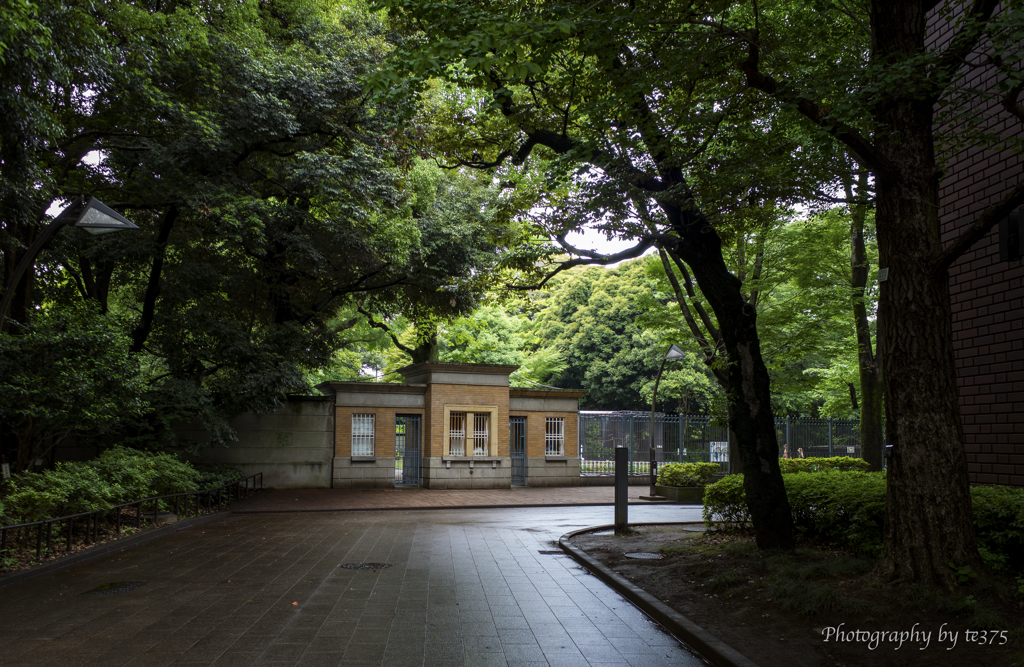 diary 2023.5. 30 #2