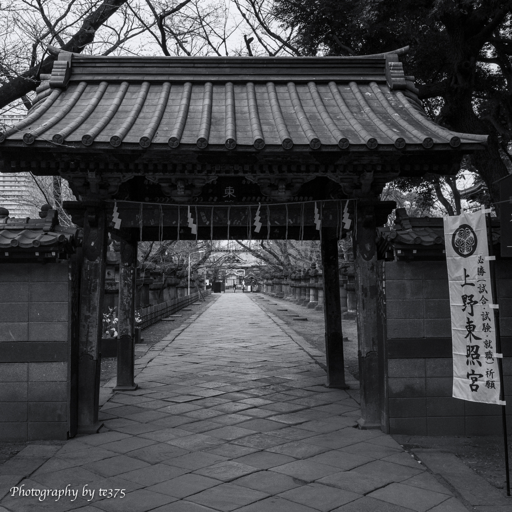 上野東照宮 #1