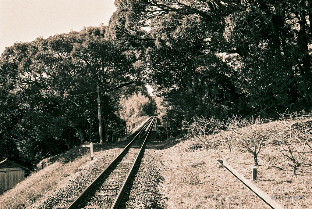 T2 + AGFA APX100      fig.2
