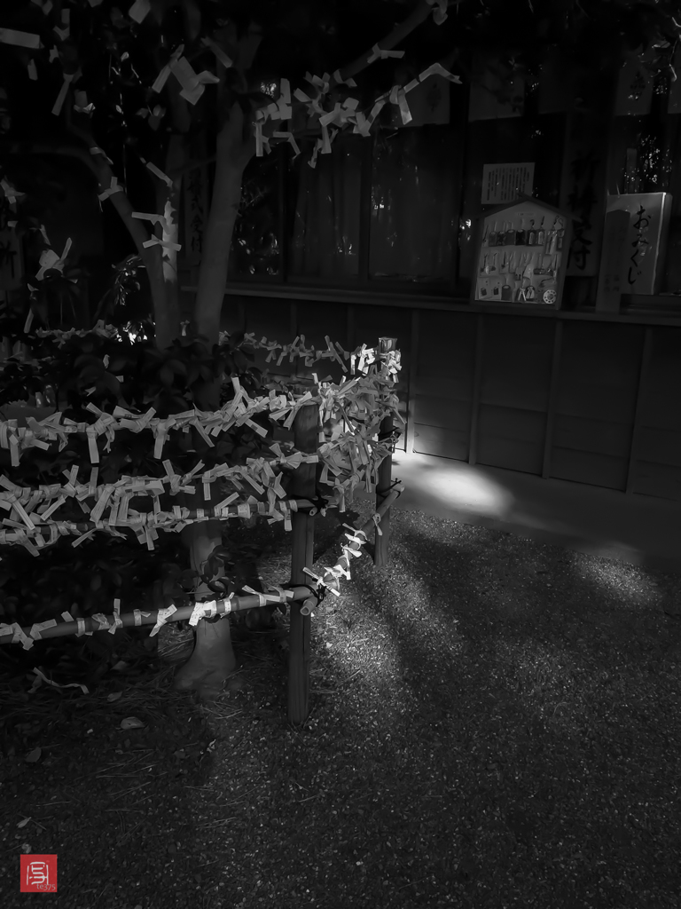 所願