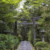 KYOTO 2024.4 #23