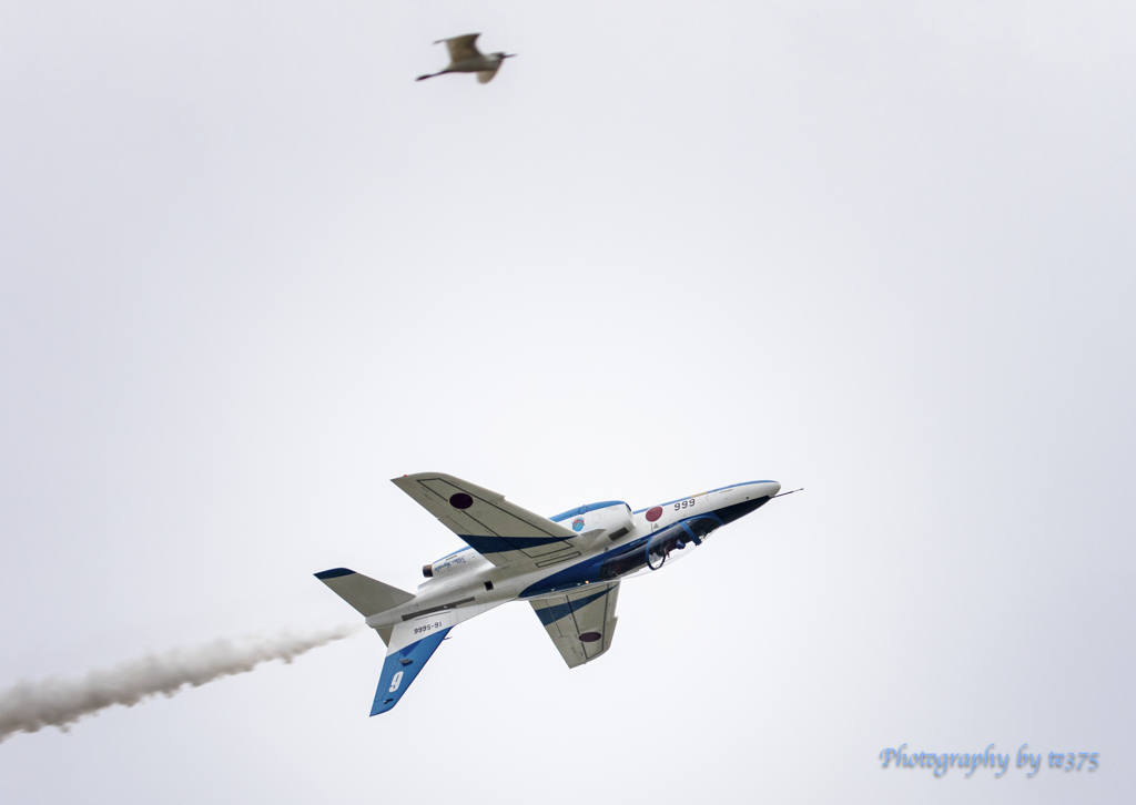 静浜基地航空祭2024 #13