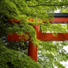 KYOTO 2024.4 #13