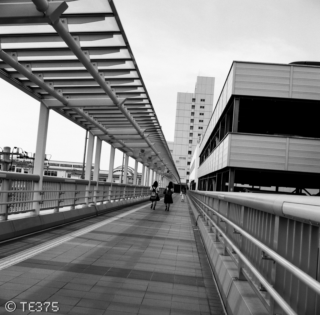 TOYOHASHI '16.7.2  film ver #8