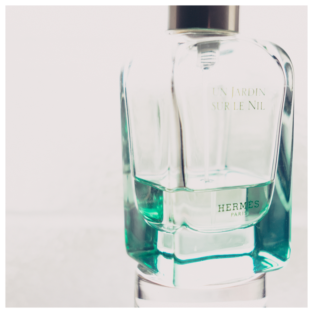 a still life 20151011.1