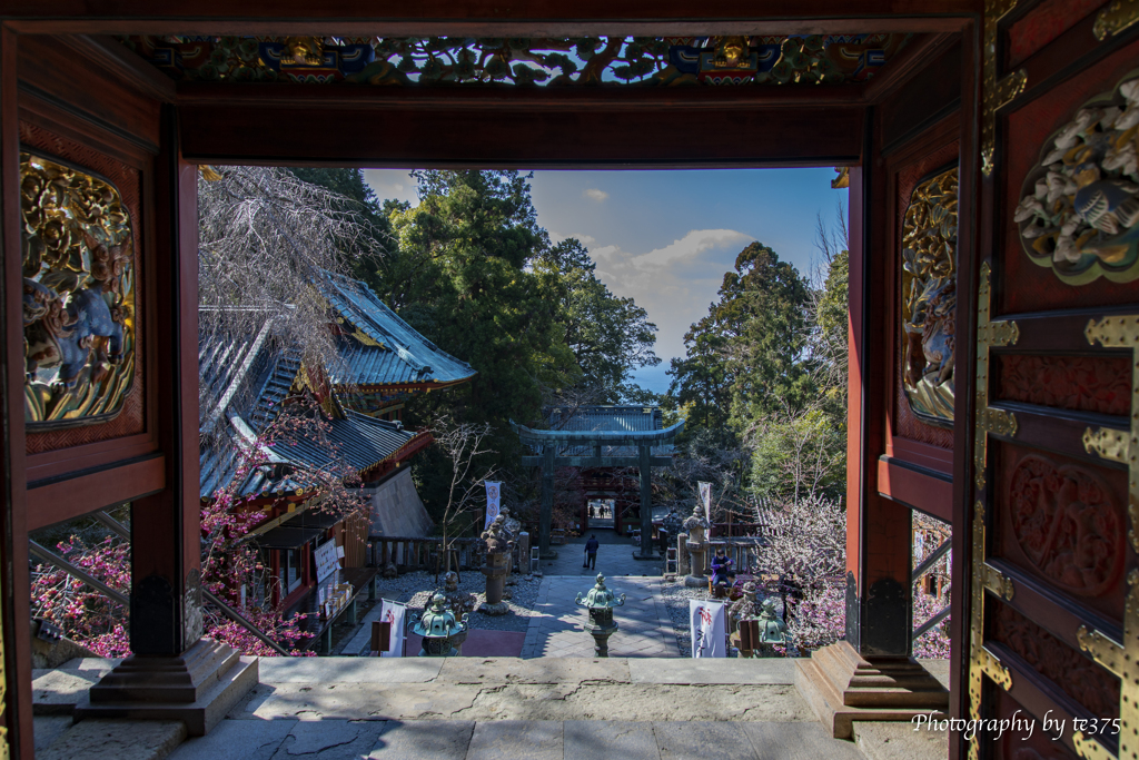 久能山東照宮へ #5