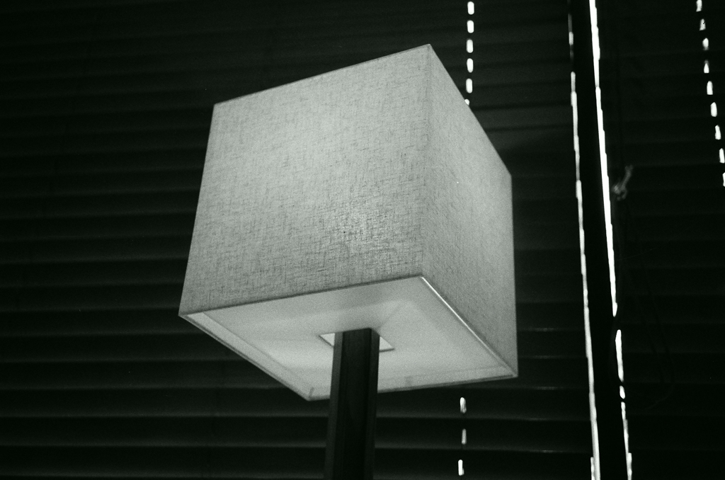 Rollei 35S +BERGGER BRF400 PLUS fig10
