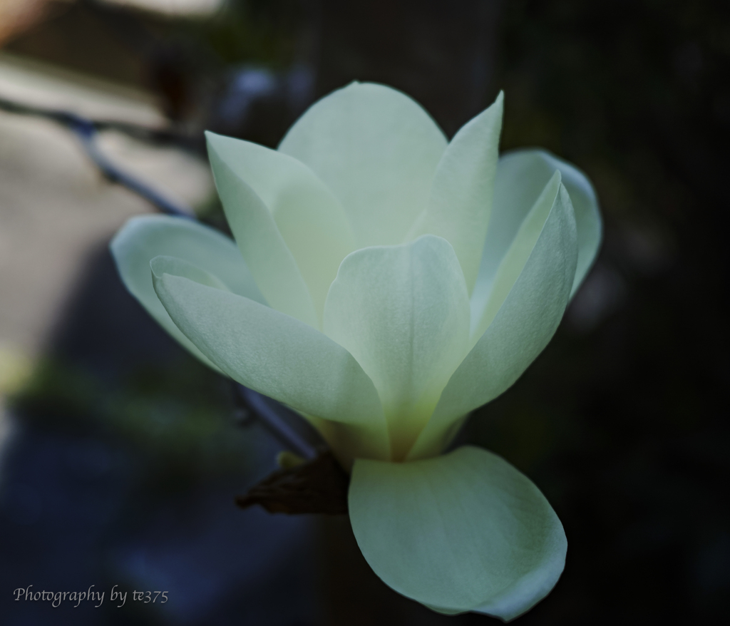 Diary 2025.3.22 #1