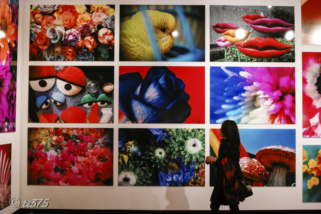 Shizuoka Prefectural Museum of Art  #1