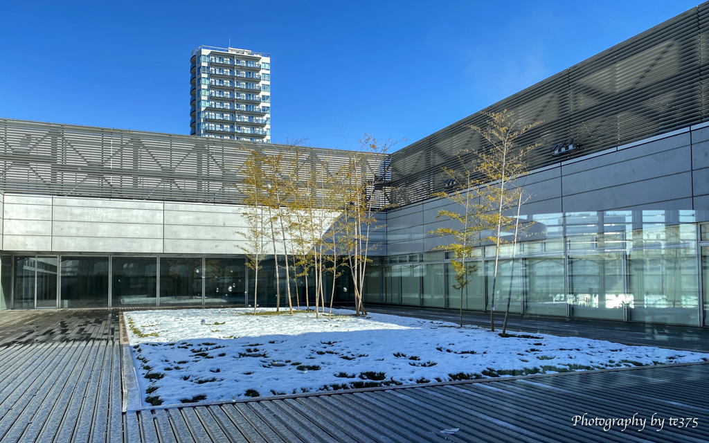 国立新美術館 #4