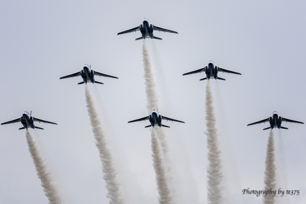 静浜基地航空祭2024 #17
