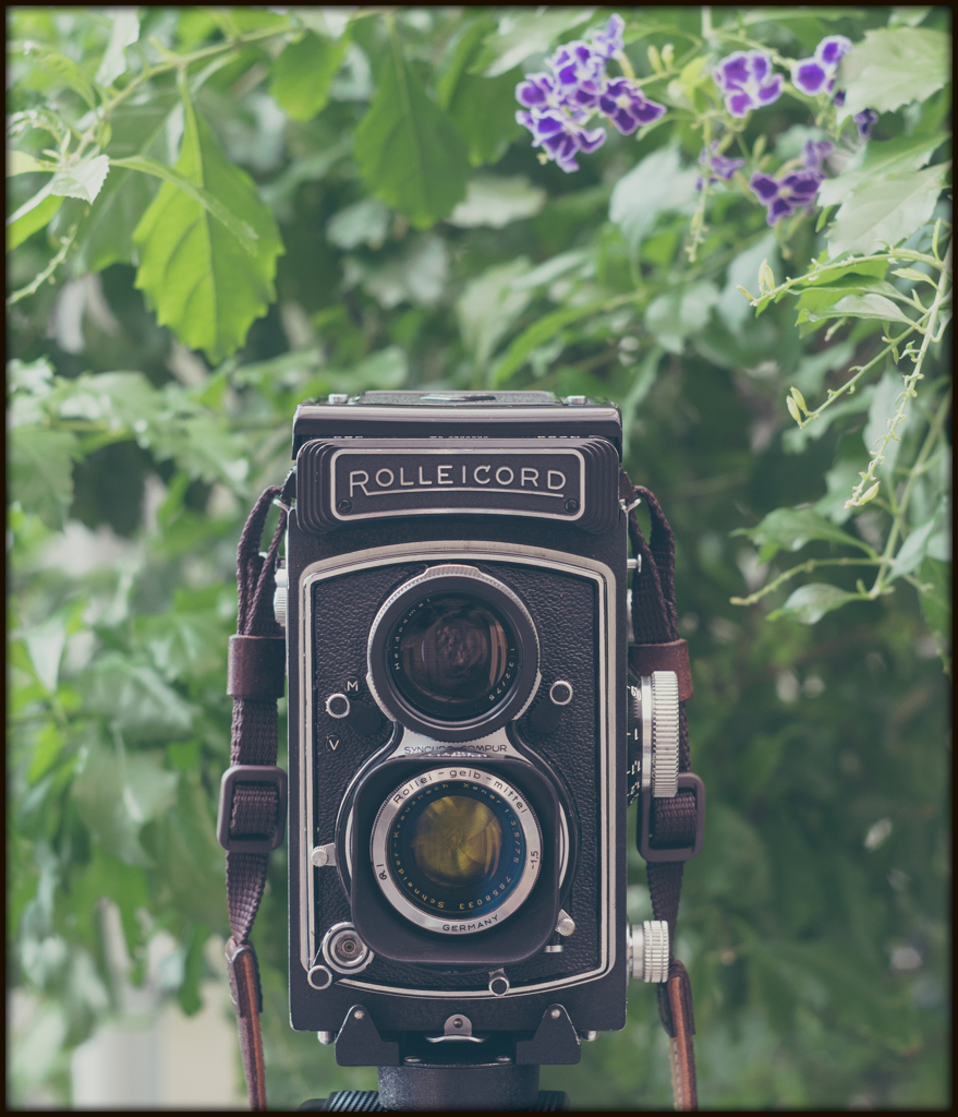 Helios meets a Rolleicord Vb    fig.2