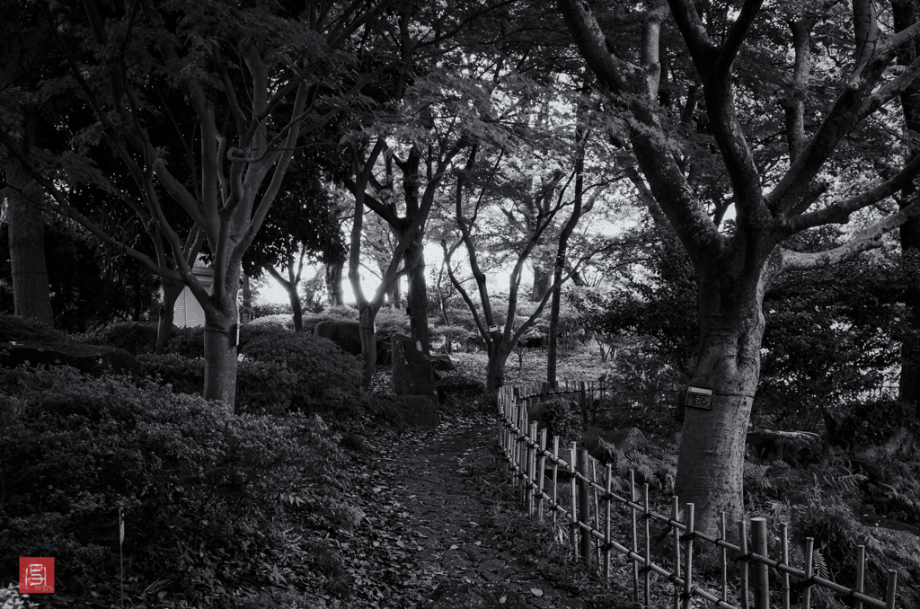 GRⅡ いつもの公園 #1