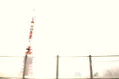 首都高より