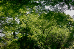 SDIM1754