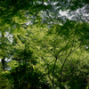 SDIM1754
