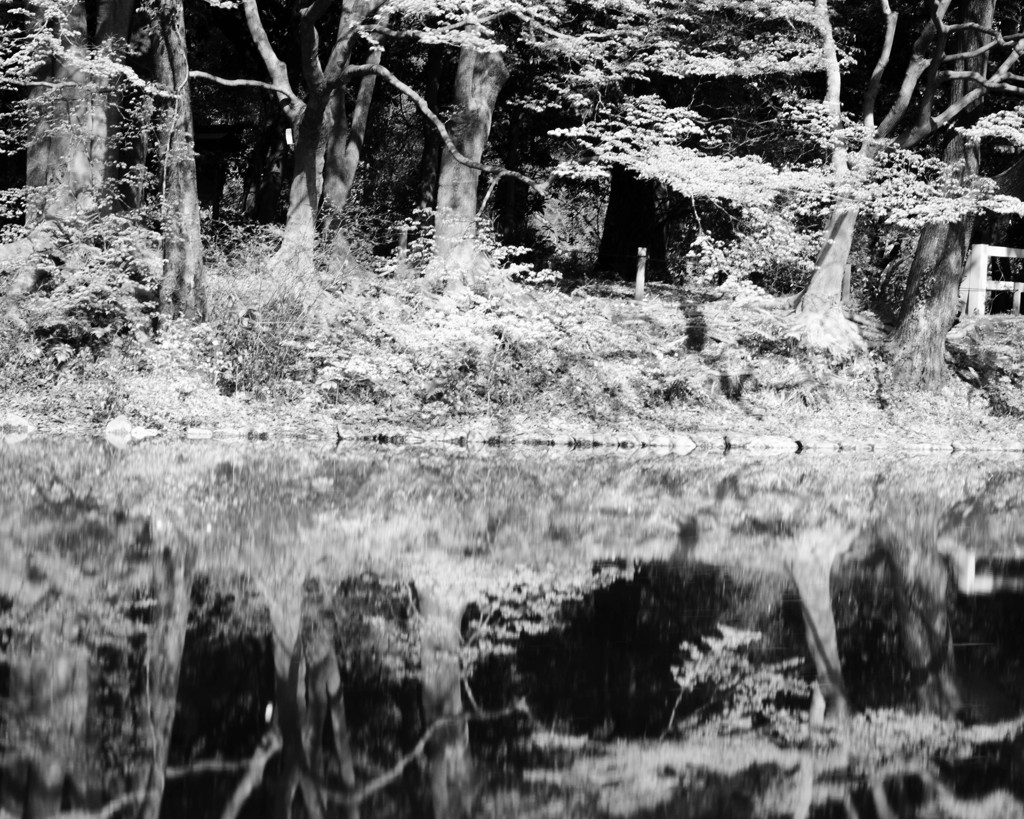 mirror