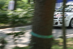 モントレー2012in渋川SS2