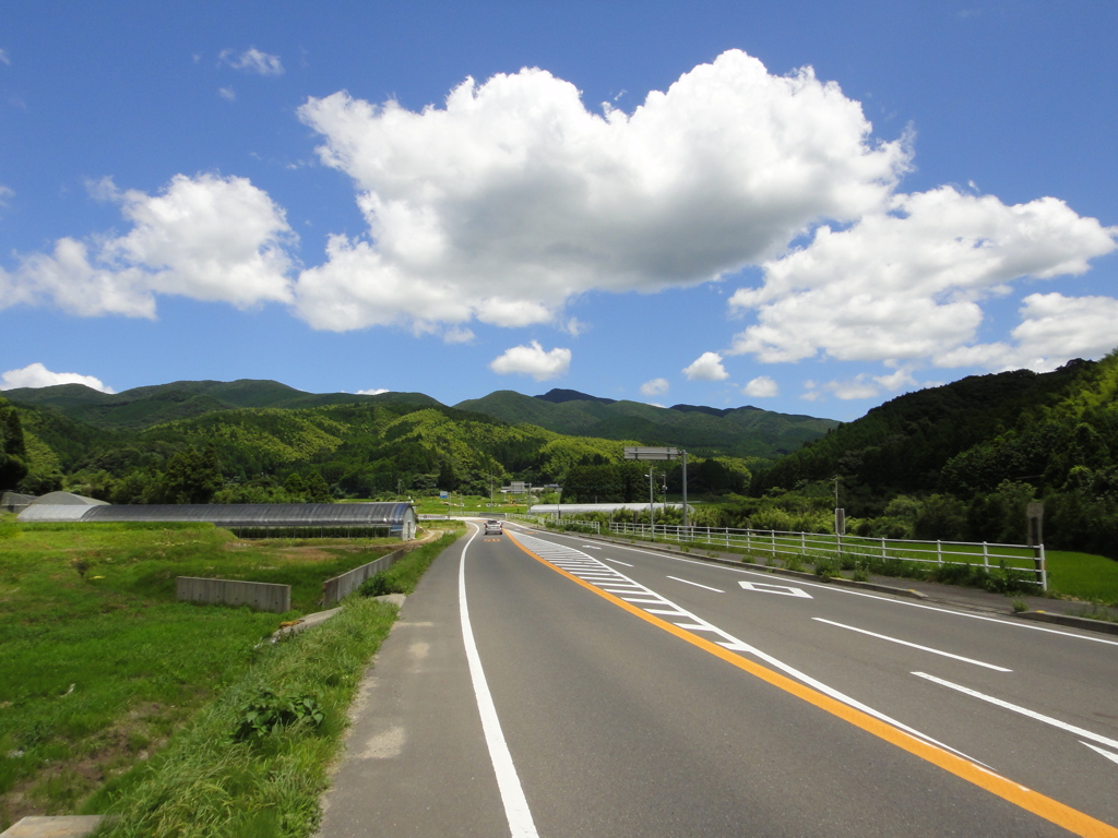 DSC01183 (2)