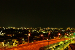 IMGP59212