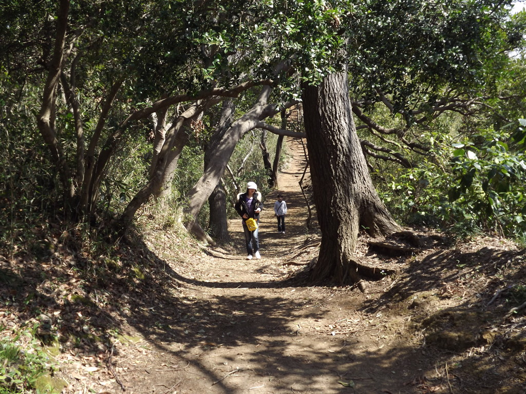 トンネル