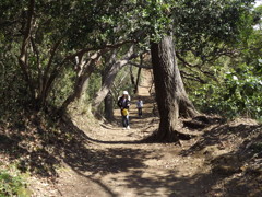 トンネル