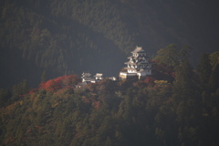 郡上八幡城の紅葉