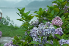 滋賀の梅雨