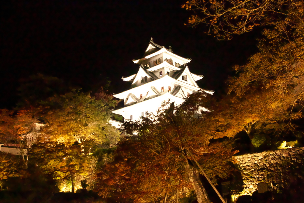 郡上八幡城の紅葉
