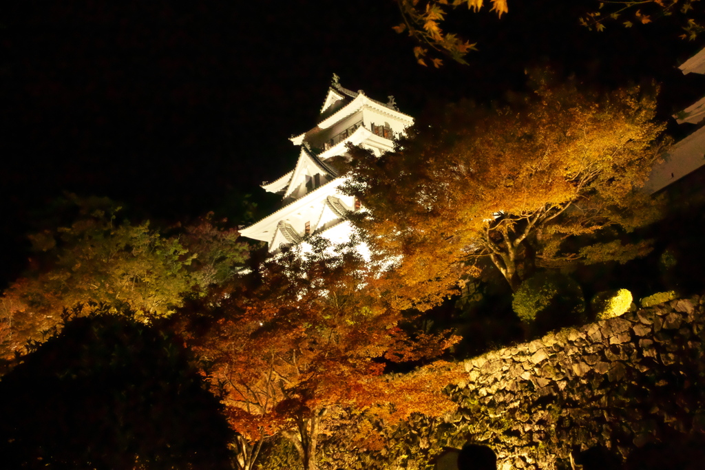 郡上八幡城の紅葉